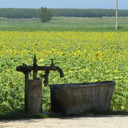 La Centuria Societa Agricola * Terzo d' Aquileia