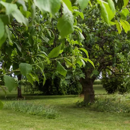 Feriehus La Centuria Societa Agricola *