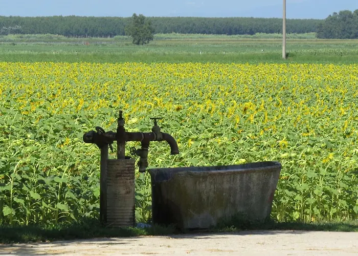 La Centuria Societa Agricola Casa Vacanze * Terzo d' Aquileia