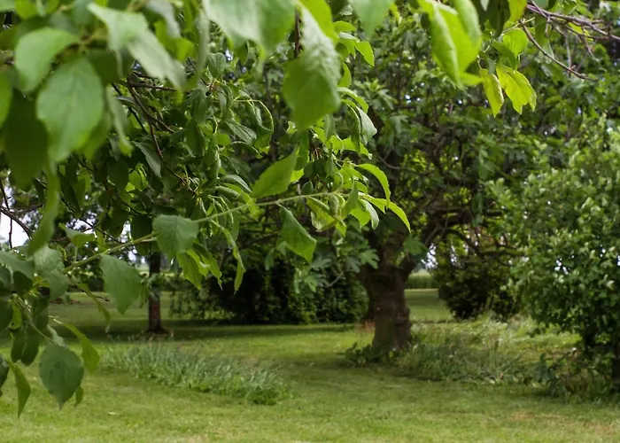 Holiday home La Centuria Societa Agricola Casa Vacanze *